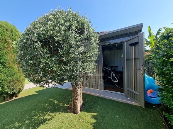 Immobilie in Vabriga