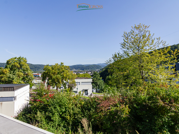 Aussicht auf das Wiesental