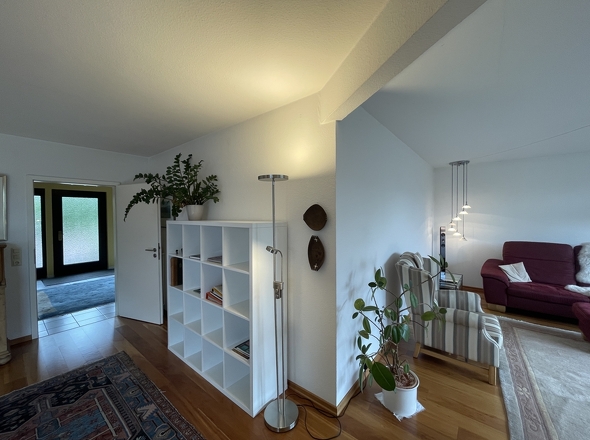 Sichtachse Eingangsbereich / Wohnzimmer