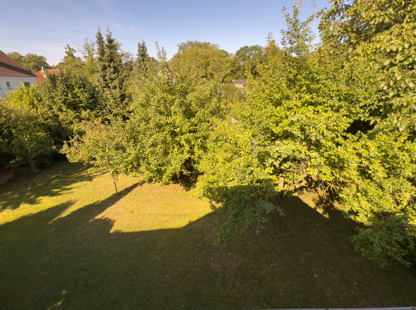 Garten mit altem Obstbaumbestand