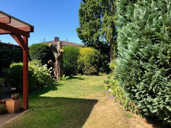 Gartenansicht 3