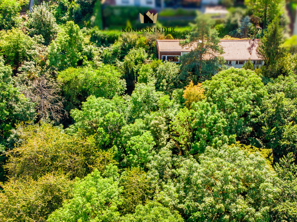 Archivaufnahme - Grundstück inzwischen teilw. gerodet
