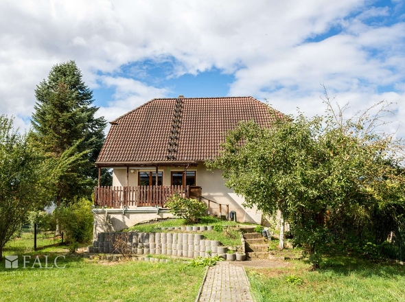 Blick aus dem Garten