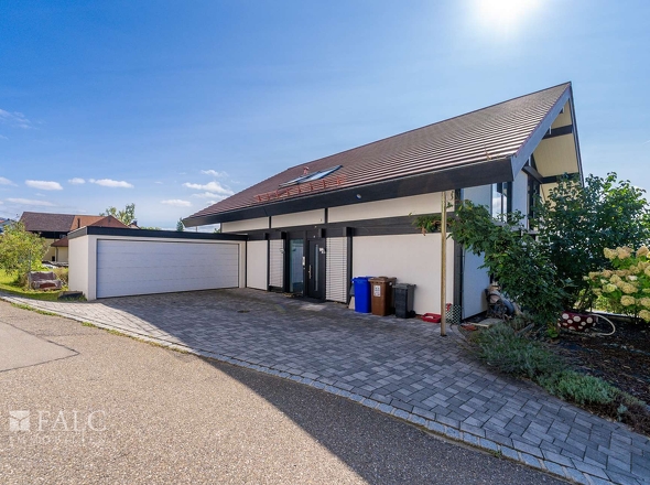 Eingang/ Doppelgarage