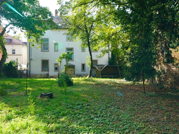 Hübsche Rückansicht