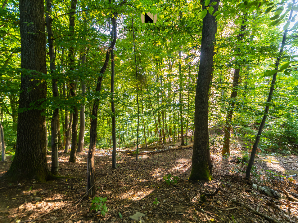 Grundstücksumgebung