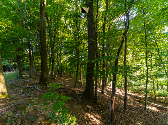 Grundstücksumgebung