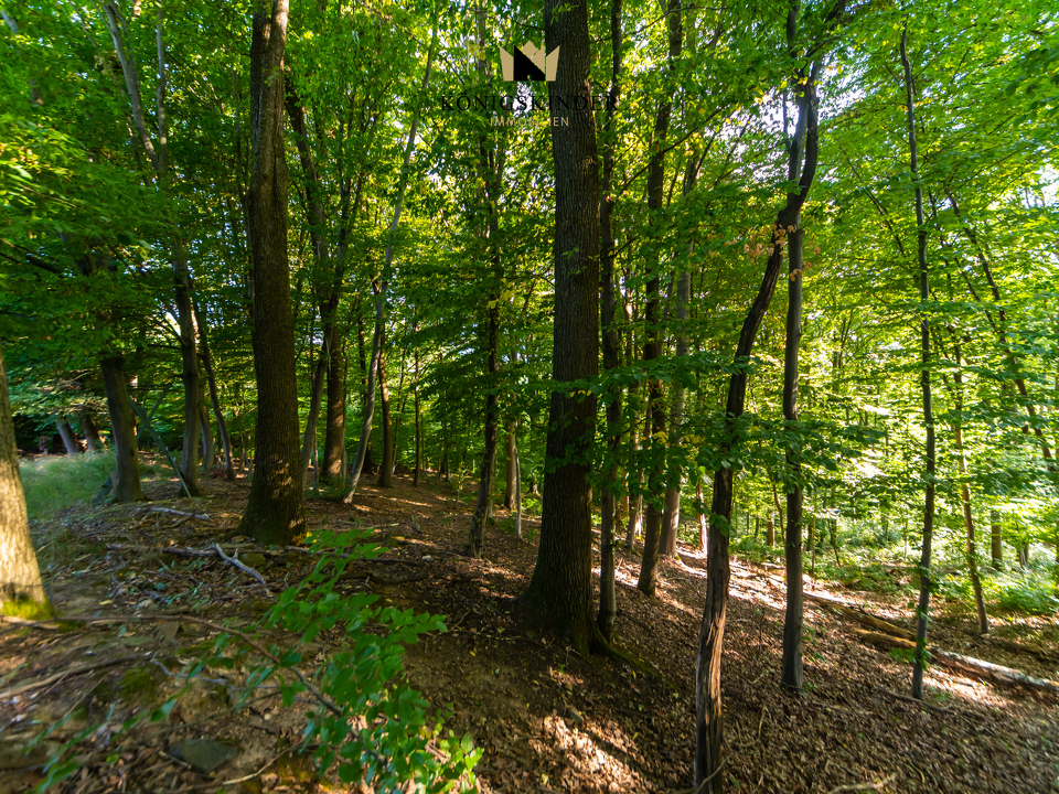 Grundstücksumgebung