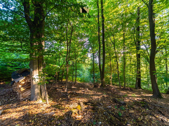 Grundstücksumgebung