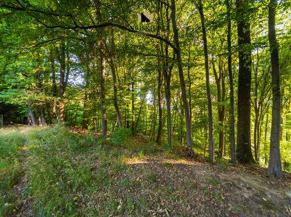 Grundstücksumgebung