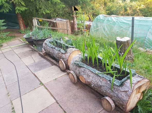 ziehen Sie Ihre eeigenen Pflanzen