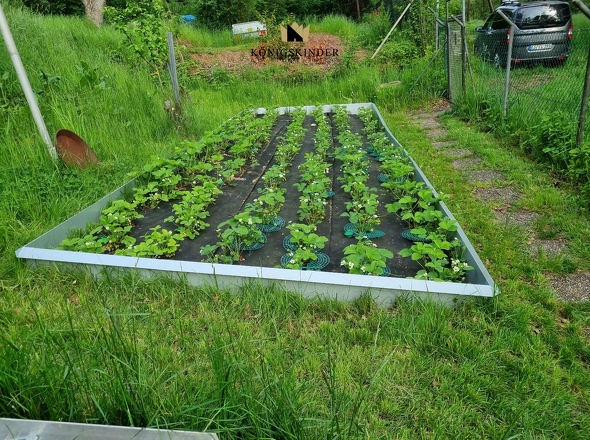 ...auf Ihren Gemüsegarten 