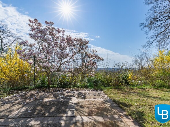 ...und Terrasse mit altem Baumbestand