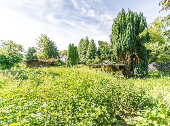 Gartenfläche 2 Perspektive