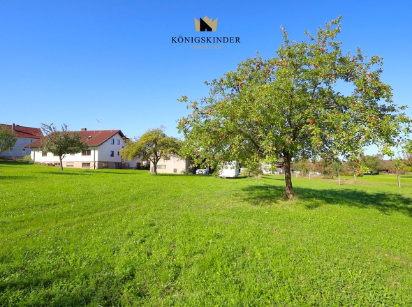 Das Anwesen in sattem Grün...