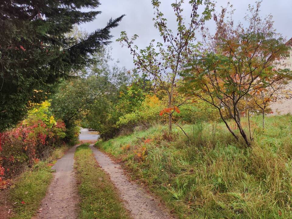 Blick in Richtung Straße 