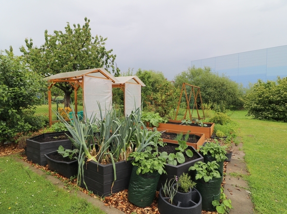 Gemüsegarten