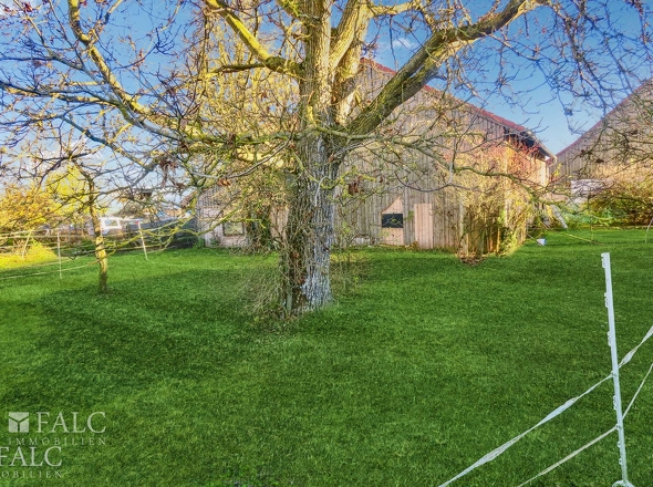 3000 Grundstück mit Garten