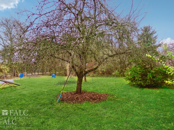 Obst- und Nuss- Garten