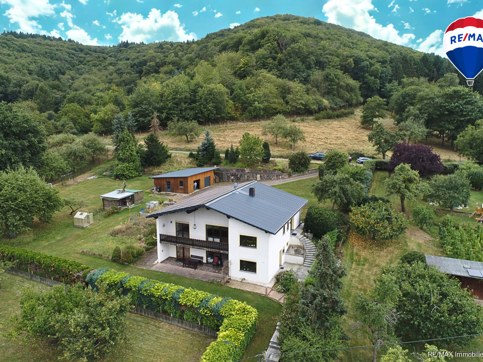 RE/MAX Immobilien DeLux Haus Ayl Außenansicht