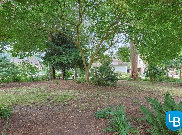 Großer Garten mit altem Baumbestand 