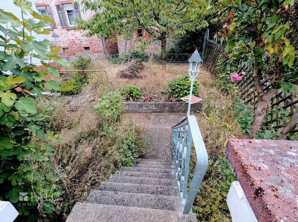 Zugang Garten hinten