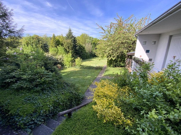 Blick seitlich vom Haus in den Garten