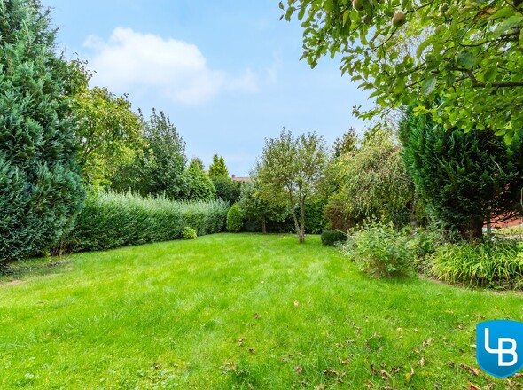 Garten mit viel Grün