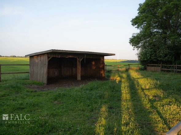Paddock mit Unterstand