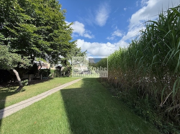 Blick in den Garten Richtung Norden