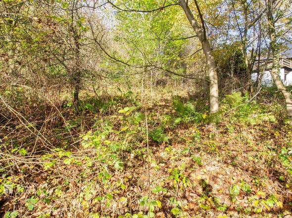 Blick ins Grundstück