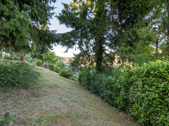 Weiterer Aussenbereich Hecke Zaun komplett geschlossen