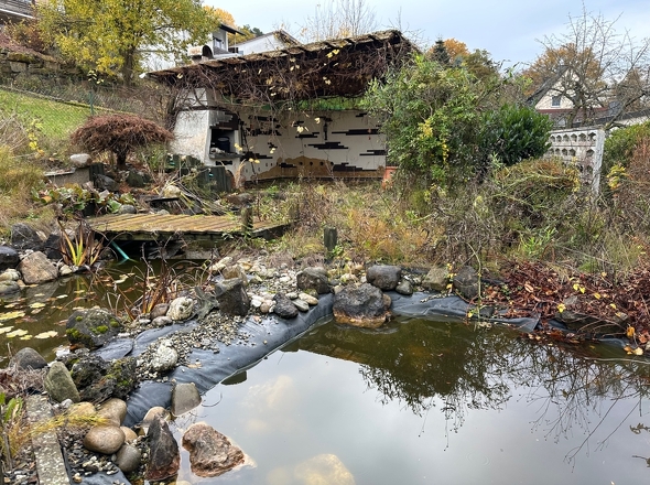 Gartenteich