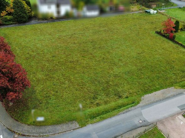 gesamtes Grundstück