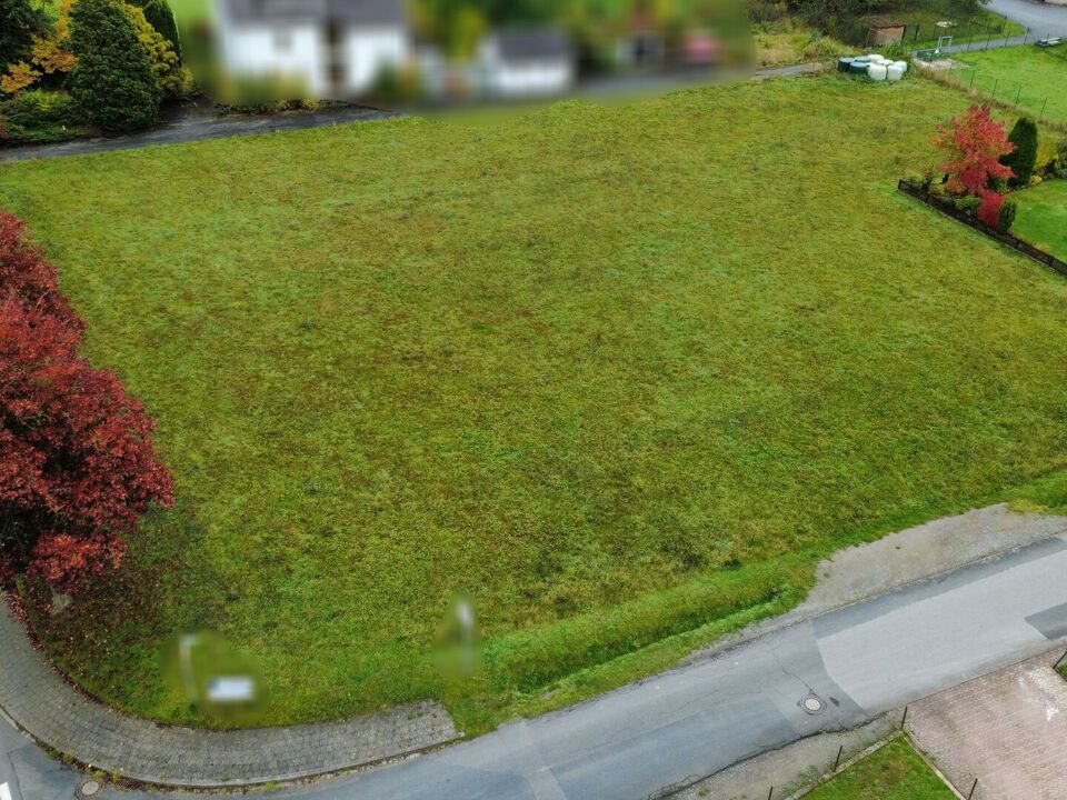 gesamtes Grundstück