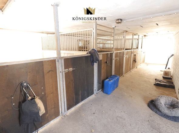 Stall (Pferdeboxen)