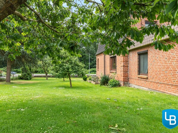 Garten mit Baumbestand...