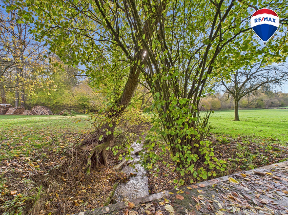 CAMMAX Immobilien DeLux Einfamilienhau Garten Ballweiler Mark Borowicz03780G0-PR0097-STILL008