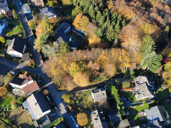 dji_fly_20251107_111332_30_1762510508047_photo_optimized