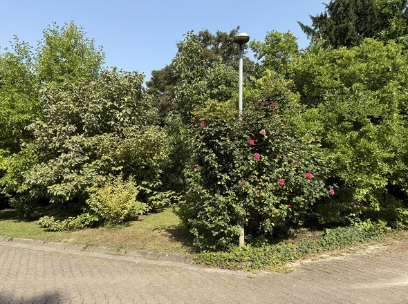 Erholungsfläche (Allgemeineigentum)