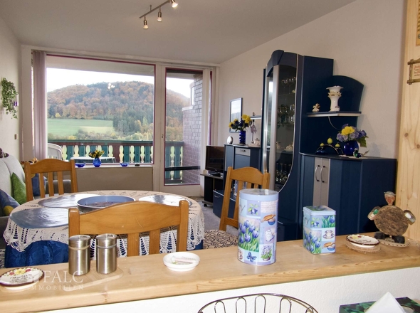 Nichtraucher, Haustierfrei