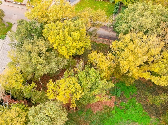 Grundstück von oben