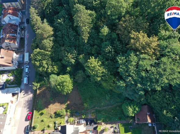 RE/MAX Immobilien DeLux