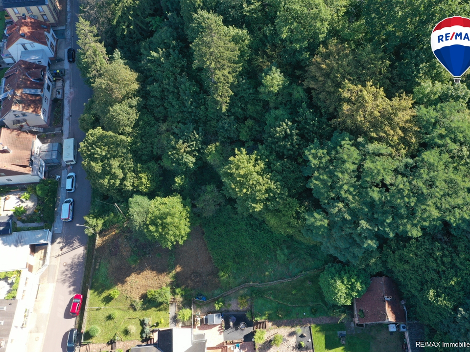 RE/MAX Immobilien DeLux