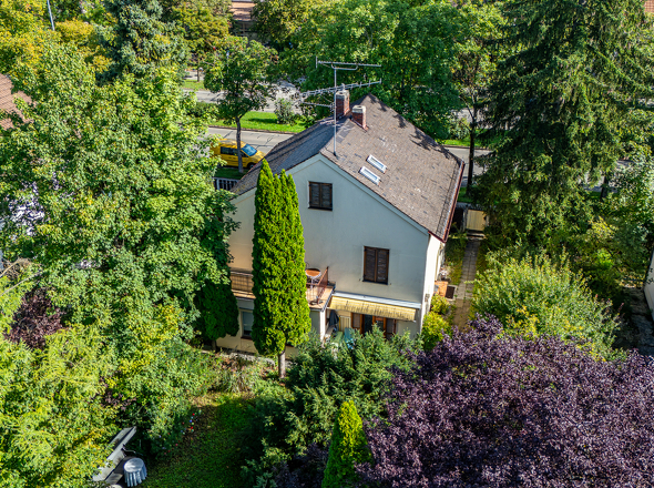 Drohnenaufnahme Altbestand