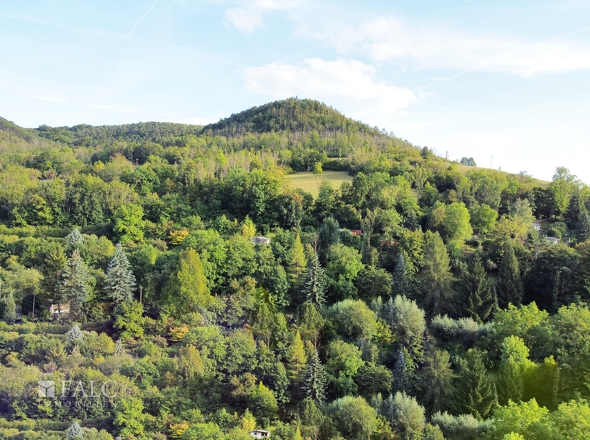 Ausblick ohne Häuser