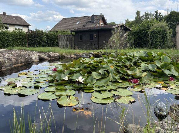 Gartenteich