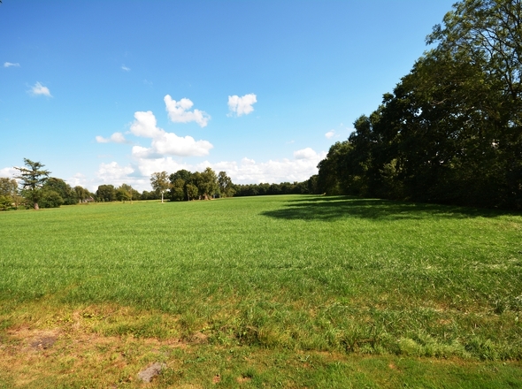 Blick nach hinten raus
