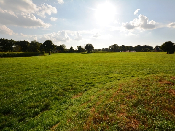 Grünland angrenzend