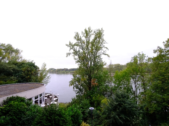 direkter Rheinblick